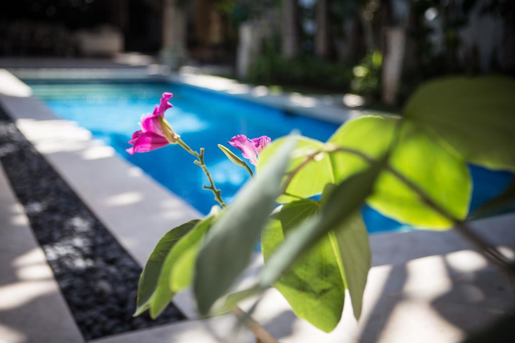 Villa Alu Lima Семиньяк Номер фото